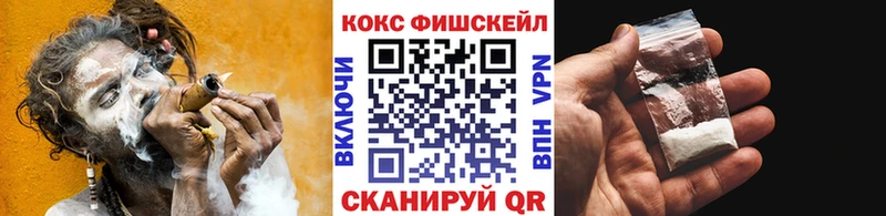 COCAIN Fish Scale  Купить закладки  Гремячинск 