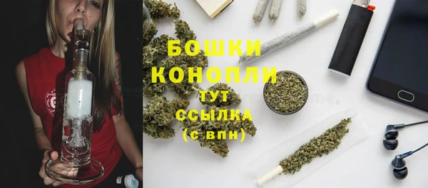 индика Богородицк