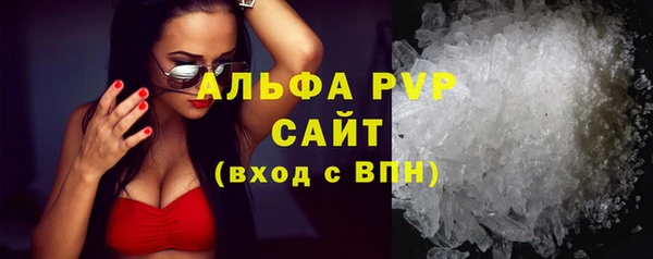 индика Богородицк