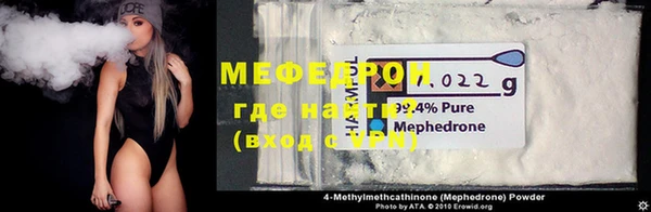 индика Богородицк