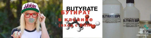 индика Богородицк
