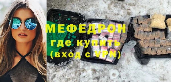 индика Богородицк