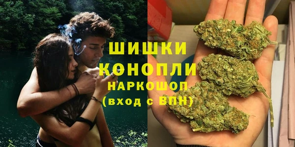 индика Богородицк