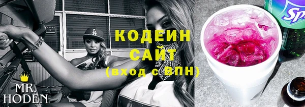индика Богородицк
