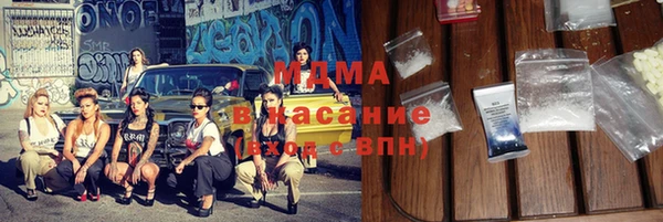 индика Богородицк