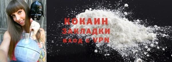 индика Богородицк