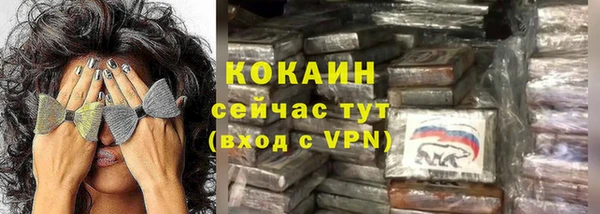 индика Богородицк