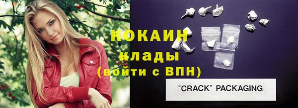 индика Богородицк