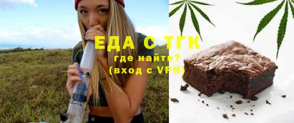 индика Богородицк