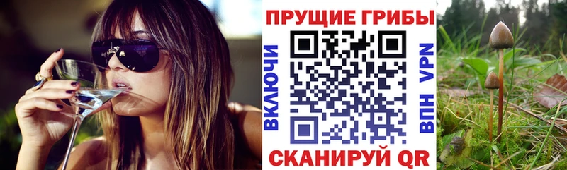 Галлюциногенные грибы мицелий Купить Гремячинск