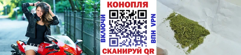 Купить где  Гремячинск  Бошки Шишки SATIVA & INDICA 